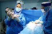 درمان قطعی ناباروری/ مراجعه بیماران نازایی از ۱۶۴ کشور به ایران