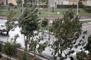 وزش باد شدید و باران در تهران