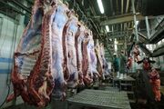 شیب کاهش قیمت گوشت شدت می‌گیرد