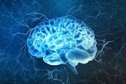 راهکار‌هایی که از مغز شما در برابر آلزایمر محافظت می‌کند