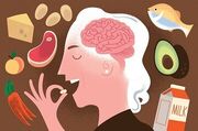 ۴ ماده غذایی مفید برای تقویت حافظه و جلوگیری از آلزایمر