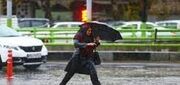 هشدار سازمان هواشناسی در خصوص رگبار و وزش باد شدید در ۱۰ استان | احتمال وقوع سیلاب