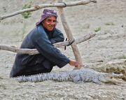 نجات گاندو‌های گرفتار در سیستان و بلوچستان