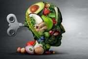 ۵ ماده غذایی مفید برای بهبود عملکرد مغز کدام‌اند؟