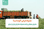 فیلم/ماجرای جنجالی برگشت هندوانه صادراتی ایران از عراق/هندوانه ایرانی آلوده است؟