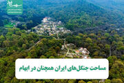مساحت جنگل‌های ایران همچنان در ابهام