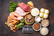 در هر سنی روزانه به چه مقدار پروتئین نیاز داریم؟