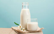 سازمان جهانی بهداشت: نوشیدنی‌های گیاهی را جایگزین شیر نکنید