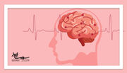 سن سکته مغزی در ایران ۱۰ سال زودتر از متوسط جهانی: افزایش نگرانی‌ها و لزوم اقدامات فوری برای کاهش مرگ‌ومیر ناشی از آن