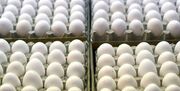 افزایش قیمت تخم مرغ در بازار | قیمت هر تخم مرغ چقدر شد؟