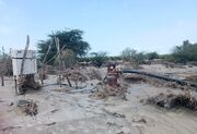 خسارت ۷۰۰۰ میلیارد ریالی سیلاب به بخش کشاورزی سیستان و بلوچستان
