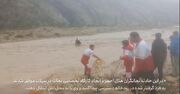 نجات معجزه آسا مرد گیر افتاده در رودخانه درودزن + فیلم