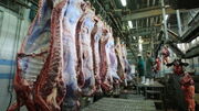 قیمت گوشت به زودی ارزان می‌شود
