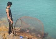 ممنوع شدن صید ماهی «حلوا سفید» در خوزستان