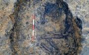 کشف اسکلت 4500 ساله در جریان ساخت فاضلاب زندان