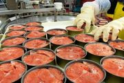 رشد ۱۸۰۰ درصدی قیمت کنسرو ماهی تن طی ۱۲ سال/ تن ماهی همچنان در مسیر گرانی