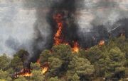 جنگل های سوخته زاگرس، میراث دولت سیزدهم برای دولت پزشکیان/ خسارات قابل جبران نیست