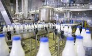 پیشنهاد هیات مدیره انجمن صنایع لبنی به توزیع شیر رایگان در مدارس مناطق محروم
