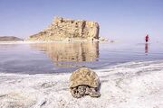 دریاچه ارومیه تا شهریور دوباره خشک می شود
