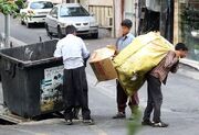 تهران نزدیک به پنج هزار زباله‌گرد دارد
