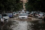 بارش های بی سابقه ی مشهد در ۲۰۰ سال گذشته/فیلم
