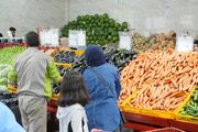 قیمت انواع سبزیجات در میادین و بازارهای میوه و تره‌بار اعلام شد