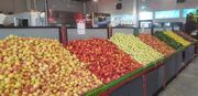 میوه‌جات ۳۸ درصد ارزان‌تر از سطح شهر در میادین و بازارهای میوه و تره‌بار عرضه شد