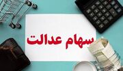 این چند گروه از سهام عدالتی‌ها ثروتمند شدند | واریز سهام عدالت برای این گروه‌ها