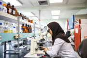 دستاور محققان مرکز تحقیقات بیوشیمی و بیوفیزیک دانشگاه تهران کاهش میزانِ دُز پرتودرمانی در سلول‌های سرطانی