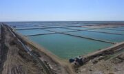 تدوین پروژه پرورش آبزیان دریایی در سطح ۲۲۲ هکتار در بوشهر