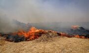 کشاورزان از آتش زدن بقایای گیاهی خودداری کنند