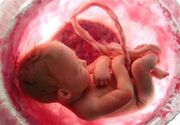 سقط‌جنین عمدی می تواند باعث ناباروری شود