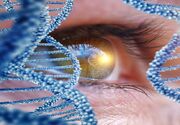 موفقیت محققان ایرانی در راستای ژن درمانی و پیشگیری از نابینایی