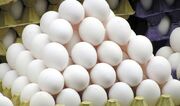 کاهش قیمت تخم مرغ در میادین و بازار‌های میوه و تره‌بار