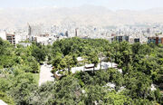 بخشنامه شهرداری تهران درباره باغات یک خیانت بود