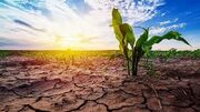 تشدید روند خشکسالی‌ها در جهان| شرایط نگران‌کننده‌تر خاورمیانه