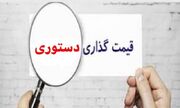 آوار ۲۴۸ همتی قیمت گذاری دستوری بر سر خودروسازان