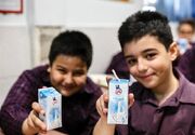 تأمین "پاکت شیر" چالش توزیع شیر در مدارس کشور!