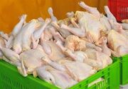 پیش‌بینی تولید ۱۰۰ هزار تن گوشت مرغ در لرستان
