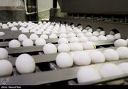 کاهش قیمت تخم‌مرغ در میادین و بازارهای میوه و تره‌بار