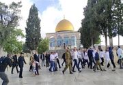 تعرض شهرک‌نشینان صهیونیست به مسجد الاقصی