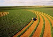 رشد تولید محصولات کشاورزی در لرستان