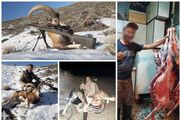 دستگیری ۱۴ شکارچی و متخلف صیادی در مازندران