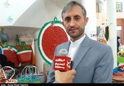 ۶۰ درصد پرورش میگوی استان بوشهر در قالب تعاونی صورت می‌گیرد