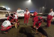 فعالیت ۶۵ تیم امدادی در محل حادثه سقوط بالگرد