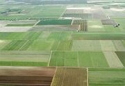 حدنگاری بیش از ۹ میلیون هکتار اراضی کشاورزی در کشور