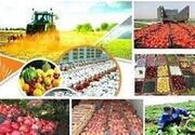 پیشرفت ۱۰۰ درصدی طرح‌های زیربنایی بخش کشاورزی شیراز