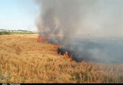 آتش‌سوزی گسترده در مزارع شهرستان چوار+فیلم