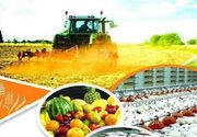 بهره‌برداری۱۲درصد پروژه‌های کشاورزی کشور در سیستان وبلوچستان