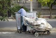 ۴۵۰۰ زباله‌گرد از سطح شهر تهران جمع‌آوری شده‌اند